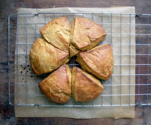 pumpscone1
